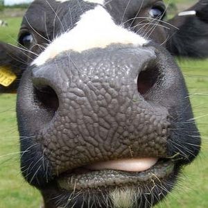 Meet your Posher, Jordyn